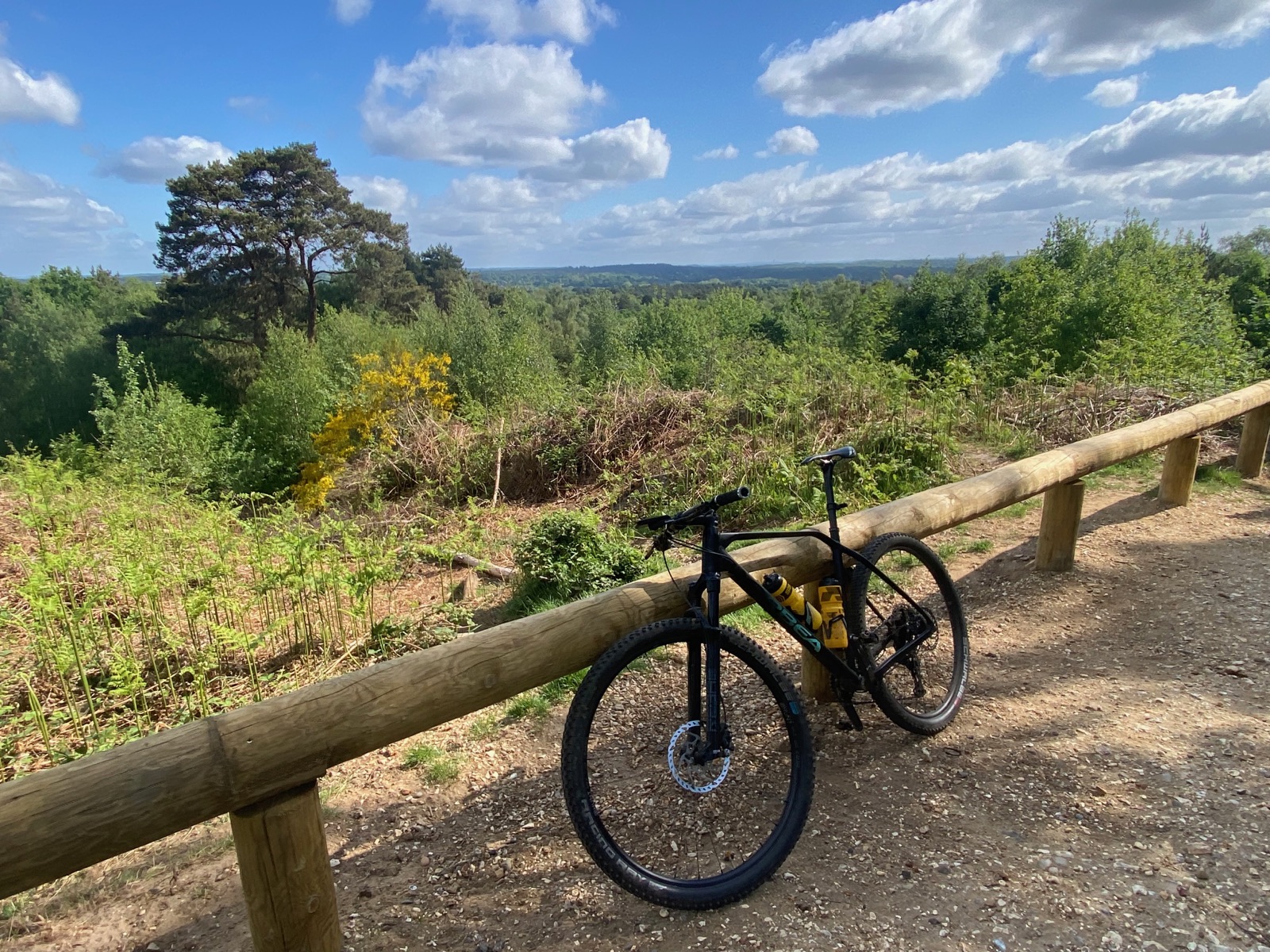 Mountain bike resting at a viewpoint over Lightwater Country Park