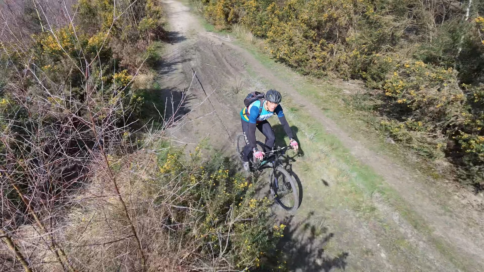 Drone view of Richard riding through woodland at Wisley Common